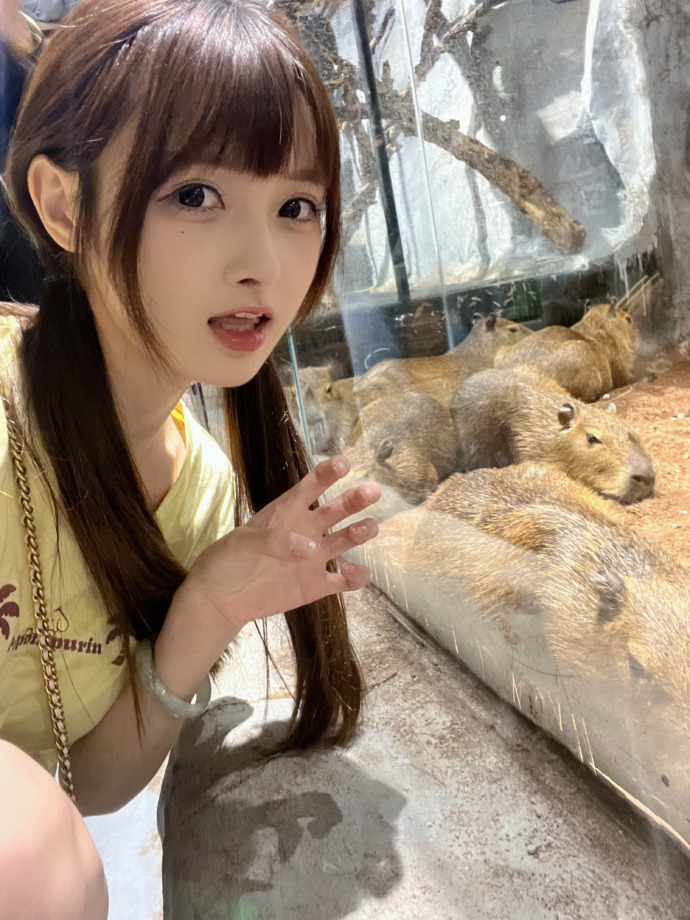 鱿鱼游戏