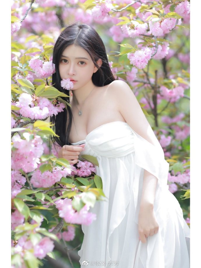 大明王朝1566 封面
